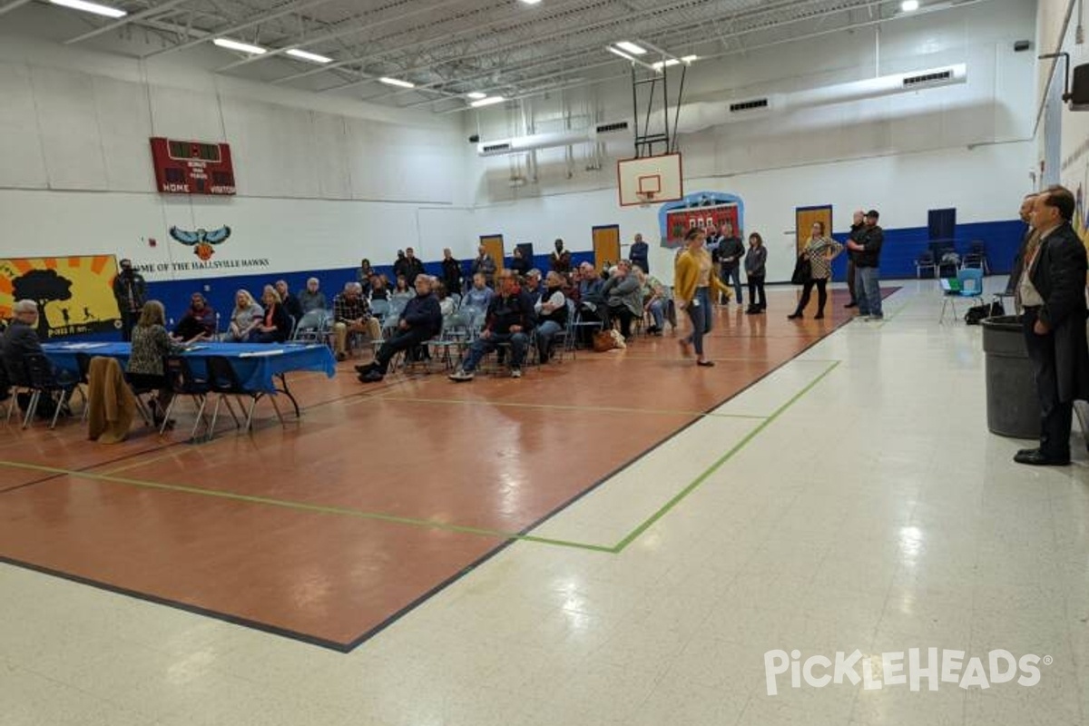 Photo of Pickleball at Hallsville School